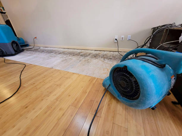 Professional Flood Damage Cleanup technician working in Brownstown, PA